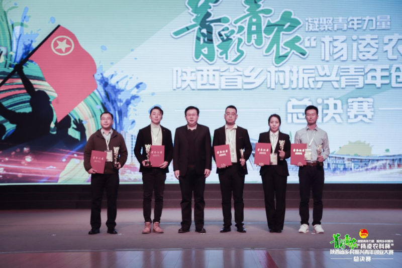 图片6.png